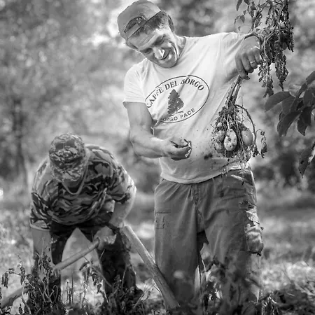 Hébergement de vacances La Casina Rossa Borgo Pace